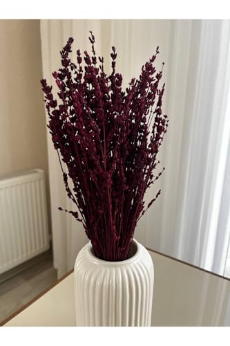 Ramo de flores de lavanda seca color ciruela, tamaño único miniatura 1