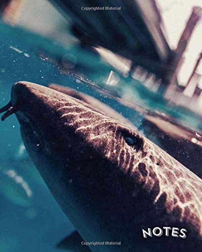 Preisvergleich Produktbild Notes: 8x10 Lined Journal / Notebook