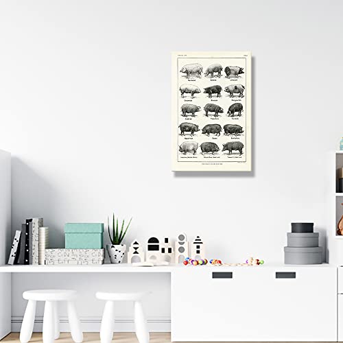 Pig Wall Art Canvas Framed Animal Posters Educational Wall Art Vintage Prints Pig Types Knowledge Poster Painting Farm Animal Wall Decor Artwork Framed 16X24(40X60Cm) #TOP1