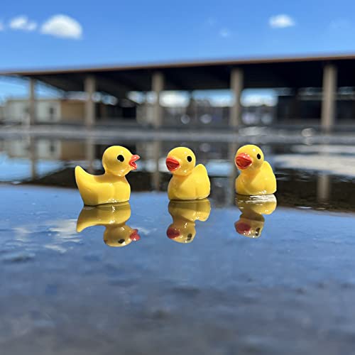 Wehoo 220 Pieces Mini Resin Duck Miniature Figures Micro Fairy Garden Landscape Aquarium Hide And Seek Prank Dollhouse Ornament Potted Plants Cake Decoration Diy Slime Kit Craft Charms For Party Toys #TOP3