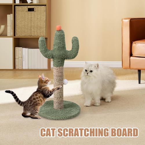 Cat scratching post stable pour les sessions de jeu des chatons intérieurs