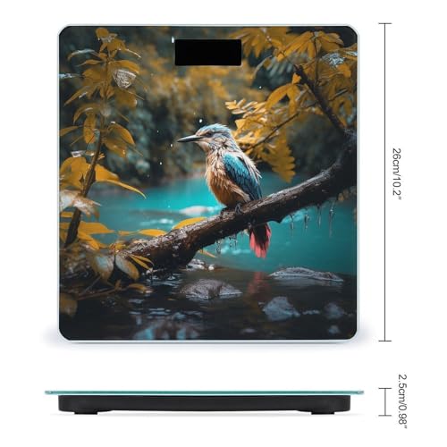 Báscula digital de baño con sonidos relajantes y pantalla LCD miniatura 2
