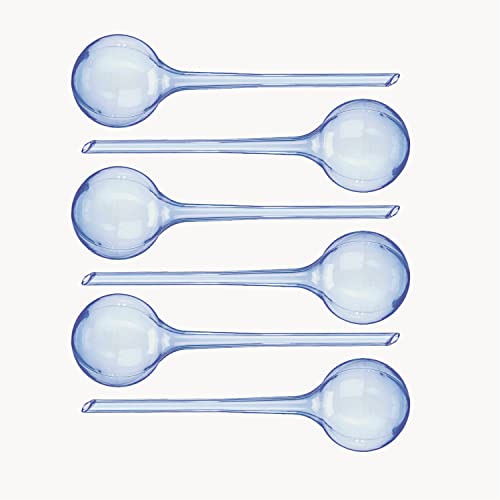 Gardez Vos Plantes hydratées avec Les bulbes d'arrosage Groots