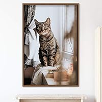 Framed Canvas Wall Art Cat Animals Cat Chic Multicolor Photography Urban - 16x24 inches