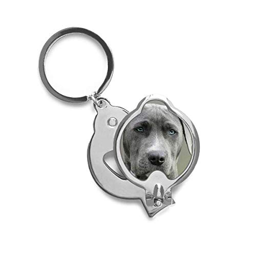 Cutter ongle chien DIYthinker pour finir les griffes cassées