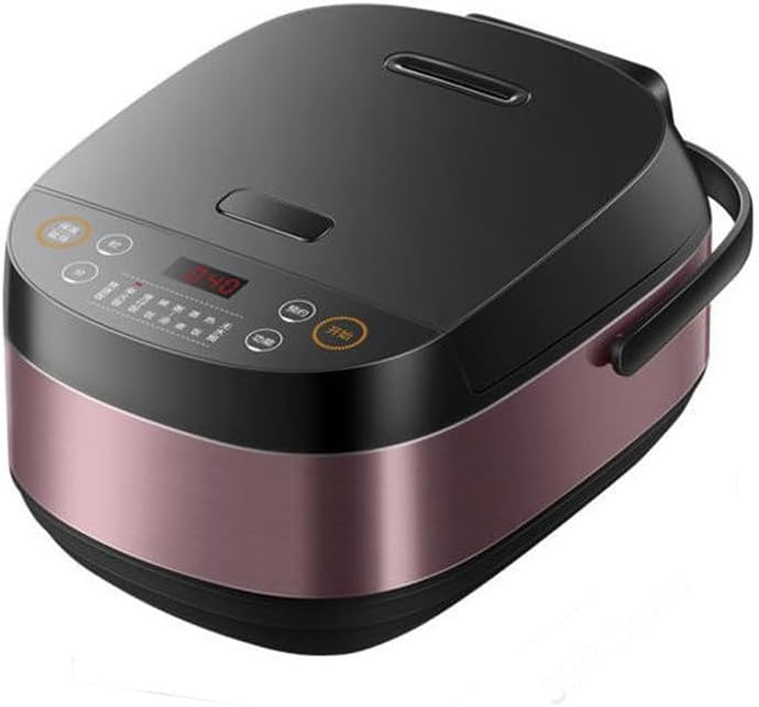 Rice Cooker 4L Fast Rice Firewood Rice Clay Pot Rice Hot Rice Home Multi-functional Soup