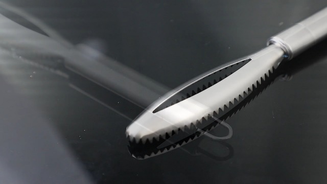 2 Raschietti Per Squame Pesce In Acciaio - Design A Dente Di Sega Per Pulizia Facile E Veloce