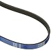 Gates K040365RB Blue Racing Micro-V Belt