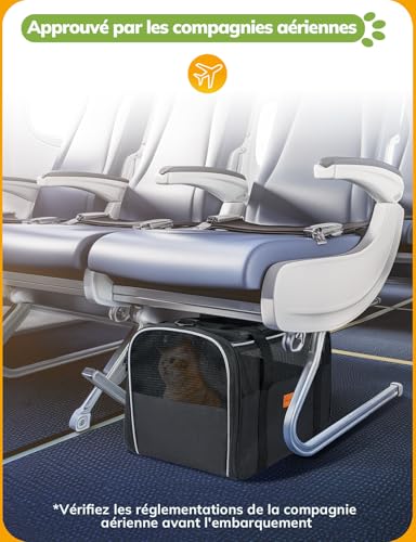 Morpilot Boîte de Transport pour Chat pour Grands Chats et Chiots – vue 2