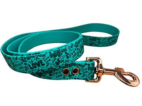 L'Atelier du Fourmilier Laisse pour Chien en BioThane décoré, Largeur Moyenne, Coloris au Choix (Teal) Cover