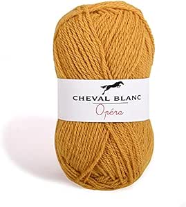 Laines Cheval Blanc DIANE - Lot De 10 Pelotes 50g, Fil Acrylique Fin Et Ultra-doux Pour Tricot Coloré Et Flashy