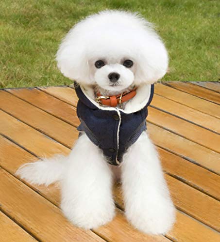 Sudadera con capucha abrigo para perro y ropa gruesa de invierno 3