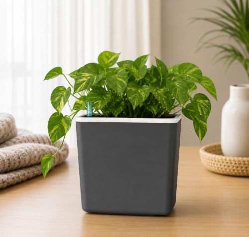 Image of Indian Discovery Self Watering Tabletop Planter| Flower Pots for Home, Terrace, Balcony, Vertical Garden Decor Flower Pots(2 PC, Grey, Square) |6 Inch UV-Resistant Plastic Plant Pots