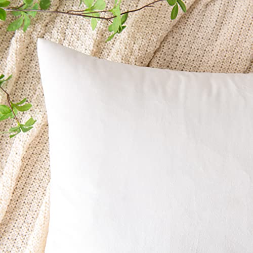 Emema Pack Of 2 Velvet Throw Pillow Covers Decorative Square Pillowcase Soft Solid Cushion Case For Sofa Bedroom Chair Car 18X18 Inch White #TOP1