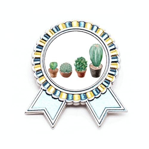 Broche cactus succulentes en pot cadeau idéal pour passionné nature