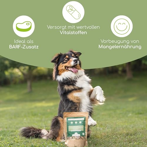 Barf Flocken Mix für Hunde – 100% Natürliche Gartengemüse und Kräuter, Getreidefrei, Unterstützt Verdauung und Gesundheit, 500g