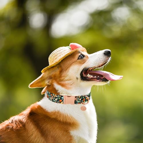 Image of Daisy Fall Cotton Dog Collar with Metal Buckle Gift Autumn Collar for Small Medium Large Girls or Boys Dogs Cute Durable Comfortable Pet Collars