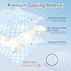 Cooling Bed Pillows Queen Size 2 Pack for Sleeping, Memory Foam Pillow Double Sided Cooling Pillow with Washable Cover for Hot Sleepers Side Back and Stomach Sleepers
