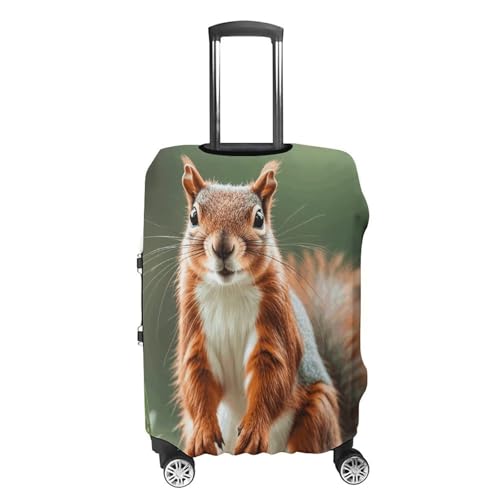Carry on Luggage Cover Cute Squirrels Suitcase Covers for Luggages Tsa Approved Travel Luggage Sleeve Protector Elastic Suitcase Protector Anti-Scratch Washable Fits 19-30 Inch Case -L4