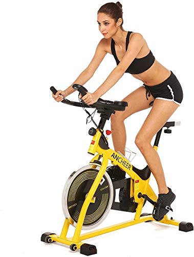 Stationary Indoor Cycling Bike, Exercise Bike with 40 LBS Flywheel Silent Belt & Comfortable Seat & LCD Display, Cycle Trainer for Cardio Fitness Exercise