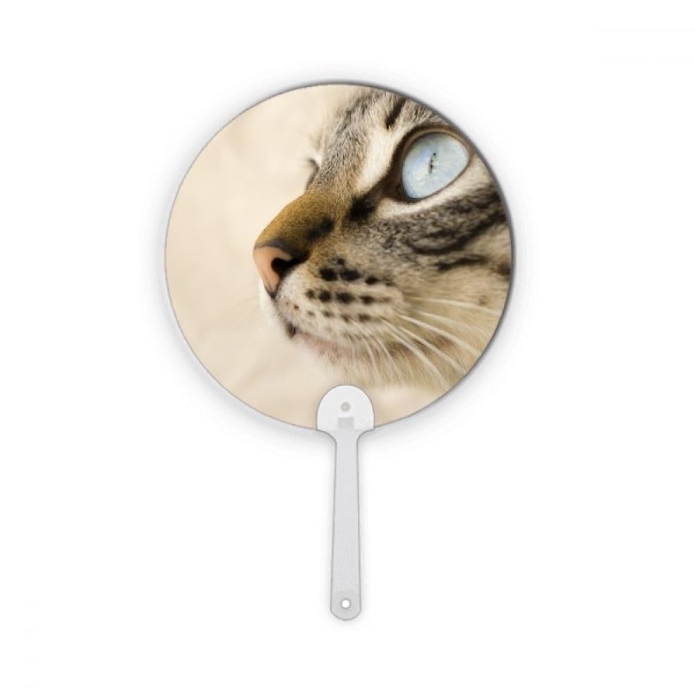 Chaton gris aux magnifiques yeux bleus un médaillon rond plastique touchant