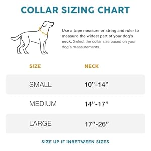  Embark-Urban-Dog-Collar--Dog-Collar-Stylish-Durable-Nylon-Dog-Collar-for-Large-Dogs-Small-Dogs-Medium-DogsComfortable-Pet-Collar-Strong-Buckles-for-Any-Size-Breed-Puppy-Collars