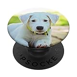Afferrati questo fantastico design di immagine del cane che è perfetto per il proprietario di un cucciolo di cane e gli amanti degli animali. È una fantastica idea regalo per donne o uomini, cane e proprietari di animali domestici e perfetta per ragazze adolescenti alla moda o ragazzi che amano cani grandi e piccoli.