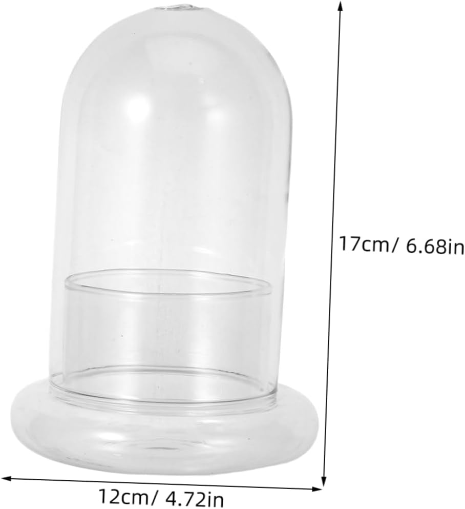 2pcs Micro Landscape Glass Bottle Terrarium Miniature Decoration for Home Tabletop and Garden Decor Durable Craftsmanship with Hole for DIY Moss and Plants