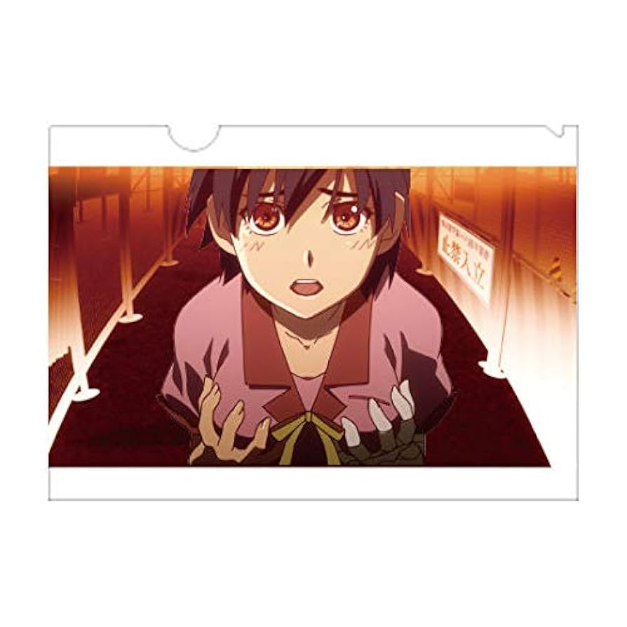 物語シリーズ　KEY ANIMATION CLEARFILE セット 物語シリーズ KEY ANIMATION CLEARFILE セット