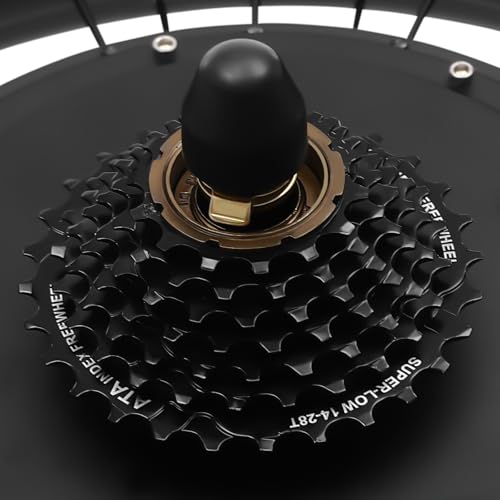 Fat-Bike Ombouwset voor e-bike, 20 inch, 48 V, 1000 W, borstelloze motor, lcd-display, draaiknop op de duim - Afbeelding 5