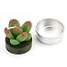 Lawei 18 Pack Cactus Tealight Candles - Handmade Delicate Succulent Mini Plants Candle - Perfect for Home Decor Candles Festival Wedding Props and House-Warming Party