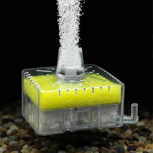 Image of SANSEFERO BL-A01 Biological Sponge Filter for Aquarium with 2mm L Tube Air-Powered Oxygen Bubble Filter Bio Sponge for Shrimp Tanks,Bowl, Fish Tank Quiet & Gentle (No Motor Added)