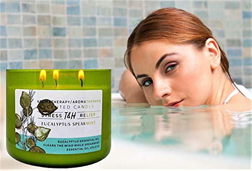 T&H Stress Relief Aromatherapy Candles - All Natural Soy Wax and Essential Oils Long Lasting 16 Ounce 80 Hour Burn (Eucalyptus Spearmint)
