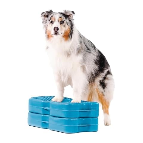 Blue-9 Propel Air Platform Kit, Professionally Designed Dog Training Accessories and Pet Products, 2-Pack, Turquoise Cover