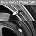 Auto Dynasty Tire Valve Stem Caps 4 Pieces Impaler Spike Style Polished Aluminum Tire Universal Stem Covers for Cars, SUVs, Bike and Bicycle, Trucks, Motorcycles Silver