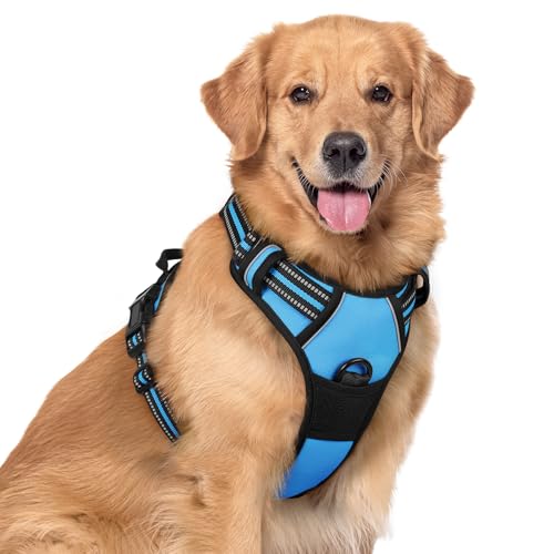 Image of rabbitgoo Dog Harness No Pull with 2 Leash Clips, Adjustable Soft Padded, Reflective Oxford No Choke Pet Vest with Easy Control Handle for Large Dogs, Blue, XL