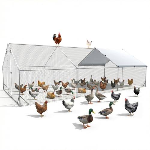 Large Chicken Coop Metal Chicken Runs for Yard 20x10x6.5 ft