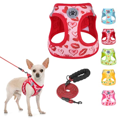 BEAUTYZOO ���p�n�[�l�X ���[�h�Z�b�g ���^�� ���^�� ��^���Ή� ��������h�~ ���߉\ �ʋC�����b�V�� �y�� ���ˍޕt�� �ȒP���E �����Ȃ� ���K ������� �U�� �P�� �V����� ���s�⏕ �ėp �`�F�b�N�� �y�b�g�p�i