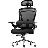 Sweetcrispy Ergonomic High Back Office Chair with 2D Headrest, Up&Down Lumbar Support, Swivel Computer Task Mesh Desk Chairs with Adjustable Flip-up Armrests, Classic Black