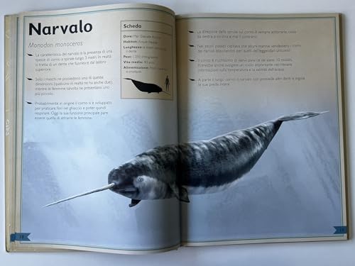 Il Magnifico Libro Del Mare - 8