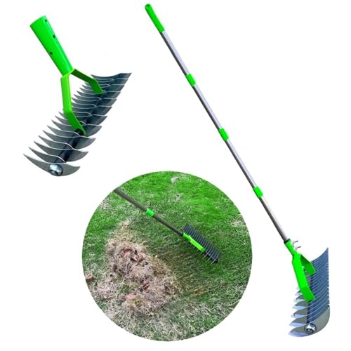 Lawn Aerator Scarifier with Handle, Moss Removal Garden Tool with Dethatching Rake, Manual Lawn Grass Soil Aeration and Scarification for Lawn Care Maintenance (1.7M) 5 Lawn Aerator Scarifier with Handle, Moss Removal Garden Tool with Dethatching Rake, Manual Lawn Grass Soil Aeration and Scarification for Lawn Care Maintenance (1.7M) - Image 5