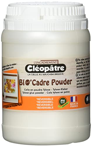 Cléopâtre Pegamento enmarcado en polvo de tilosa BIO'MARCO Powder, Blanco, 100 GR, Set Piezas