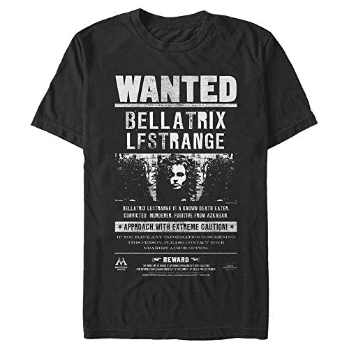 Image of WARNER BROS T-Shirt, Black, XL