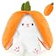Orange | 30cm