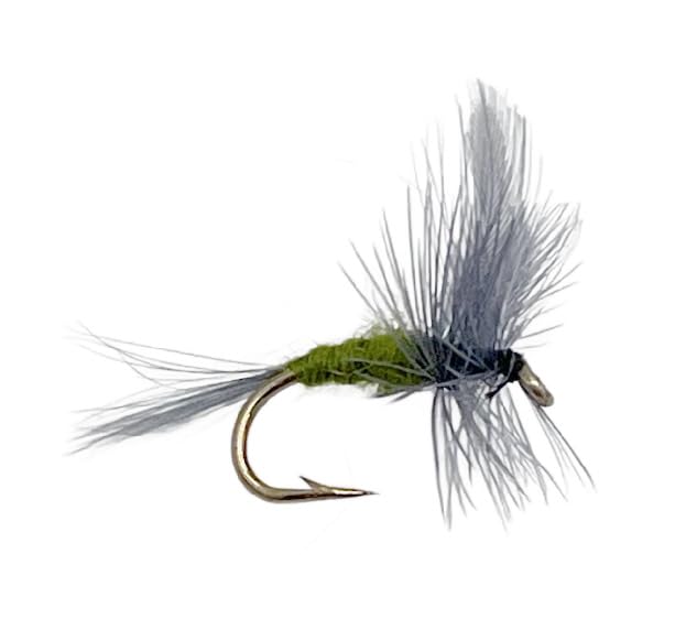 Feeder Creek Fly Fishing Flies - Blue Winged Olive BWO Trout & Bass Dry Flies Assortment Kit