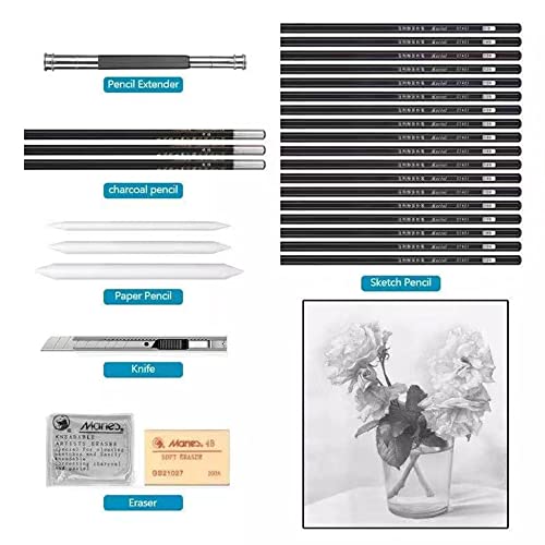 La mejor selección de Carboncillos disponible en línea para comprar. 22 Carboncillos marca NEWKIBOU (2)