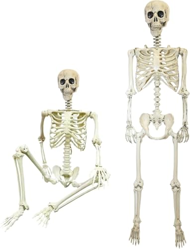 NEW-YIJUNSHUN Halloween Skeleton Figure - Full Standing Body Skeleton with Movable/Posable Joints Halloween Decoration Life Size Poseable Skeleton 165cm Posable Decor for Outdoor Indoor