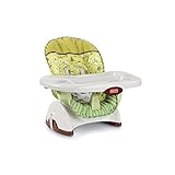 Fisher-Price SpaceSaver High Chair, Scatterbug