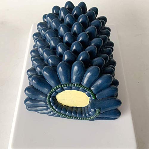 image for LXX Baculovirus Model Rabies Virus Anatomical Model Virus Structure An