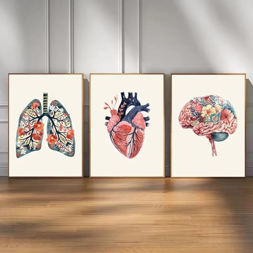 Póster de anatomía humana floral Baibexing de corazón, cerebro y pulmones (40x60cm, 3 piezas)